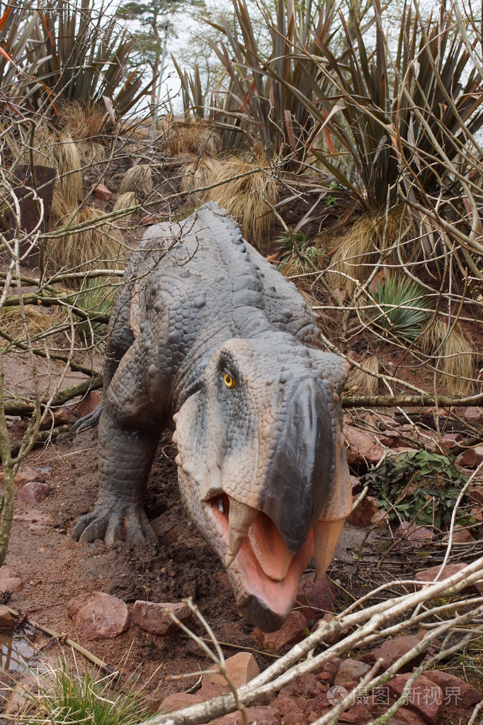 大野水龙兽能够