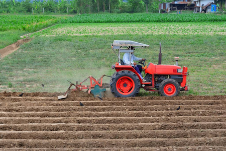 农民拖拉机犁茬与红色拖拉机