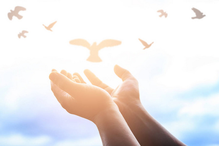 人类的双手张开掌心向上崇拜.