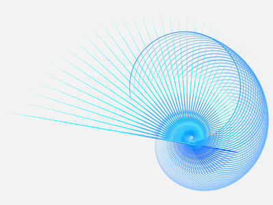 分形艺术作品螺旋或壳
