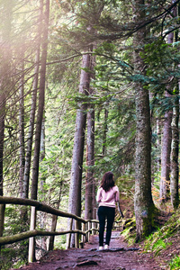 春景色图片 春景色素材 春景色插画 摄图新视界