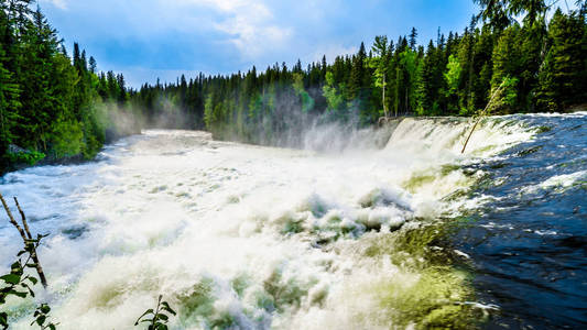 早雪融化在瑞博山脉创造了一个壮观的水流 Murtle 河的道森瀑布在美丽的不列颠哥伦比亚省, 加拿大的灰色省级公园