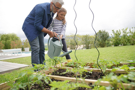 父亲和女儿一起园艺, 家庭菜园