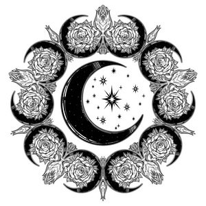 华丽的玫瑰图片