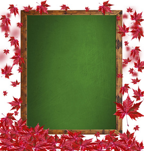 秋天的落叶孤立在白色背景上的空木制黑板上