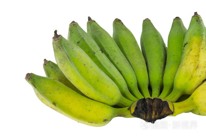 孤立在白色背景上的绿色香蕉