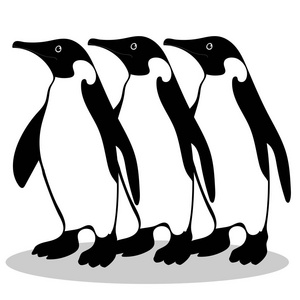 企鹅的友谊象征忠诚