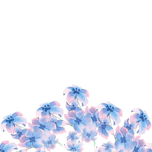 蓝色的春天的花朵