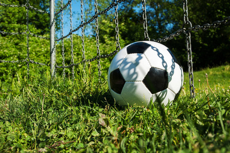 足球在夏季绿色草地足球场的目标