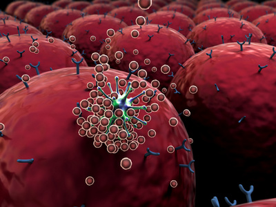 白细胞攻击病毒照片