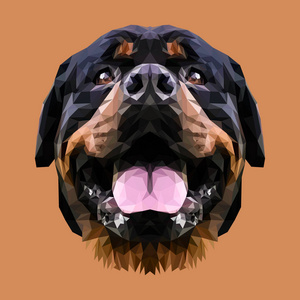 严重的狗罗威纳犬图片