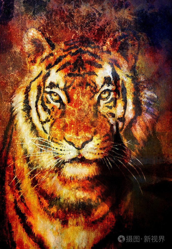 老虎的拼贴在色彩抽象背景防锈结构野生动物计算机拼贴