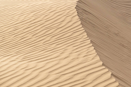 贾萨米尔, 印度拉贾斯坦邦, 沙漠中的美丽沙丘