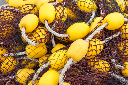渔网用黄色的浮点数