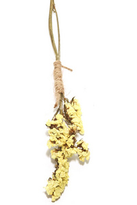 特写单黄色 statice 花背景用于装饰
