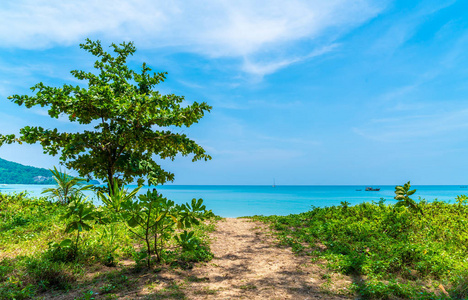 美丽的热带海滩和海在天堂海岛假日假期概念