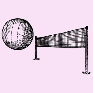 排球网图片