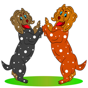 两个美丽的喜庆的狗, 卡通的白色背景照片