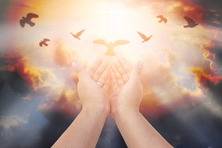 祈祷保佑表情包人类的双手张开掌心向上崇拜.圣体圣事治疗保佑他照片
