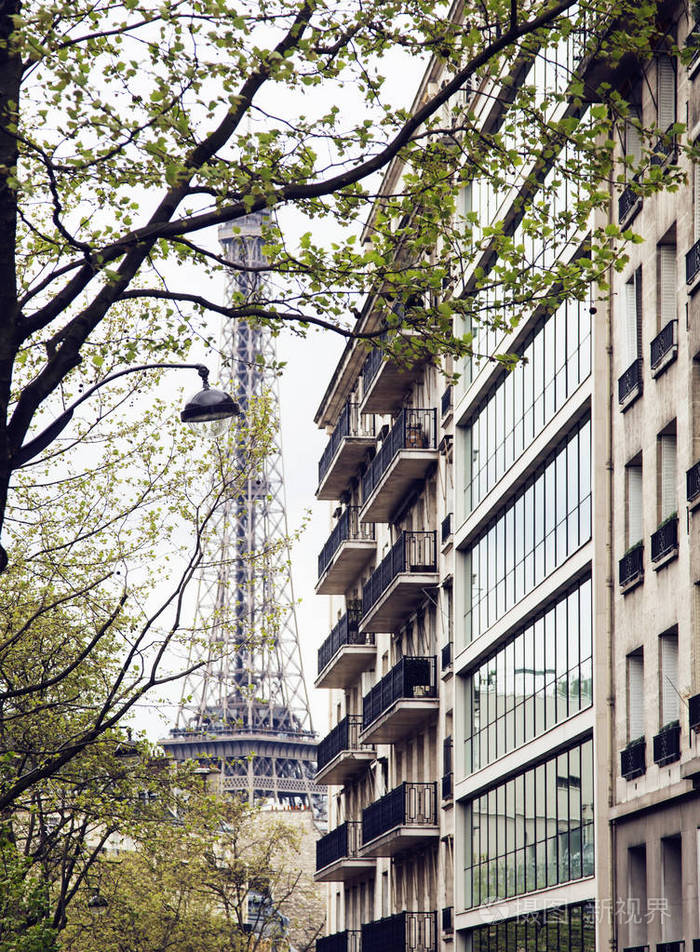 在法国巴黎的街道上的房子.城市生活概念