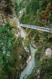 Leutaschklamm野生峡谷与河在德国的阿尔卑斯