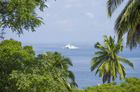 印度棕榈树和安达曼海的美丽风景和尼古巴群岛