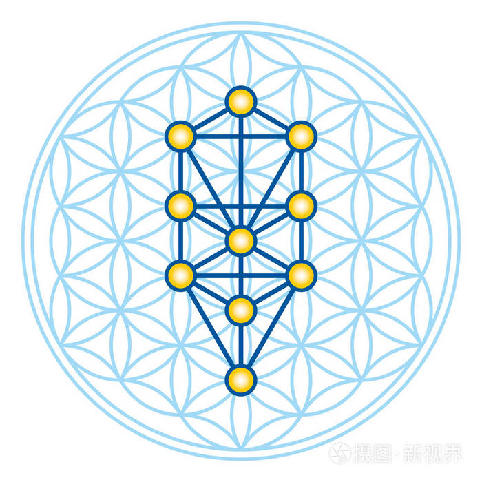 生命之花在生命之树图