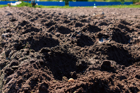 手工种植马铃薯, 准备种植马铃薯的土壤, 施肥土壤