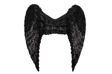 白色路飞在白色的黑色羽翼照片