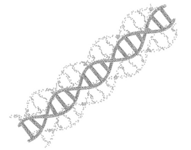 dna 螺旋或 dna 结构