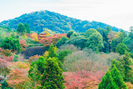 美丽的建筑，在清水寺