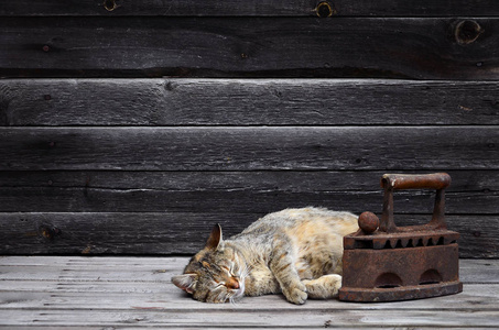 厚厚的猫坐落于重和生锈的旧煤铁 o