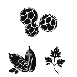 草药和香料黑色的图标集合中的设计。不同种类的调味料矢量符号库存 web 插图