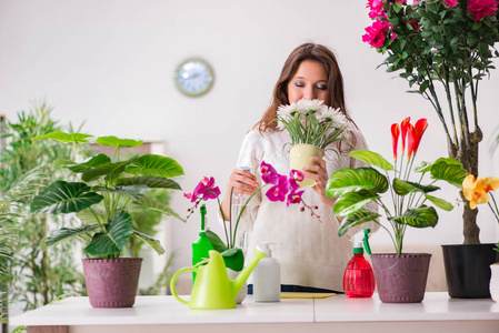 植物在家里照顾的年轻女人