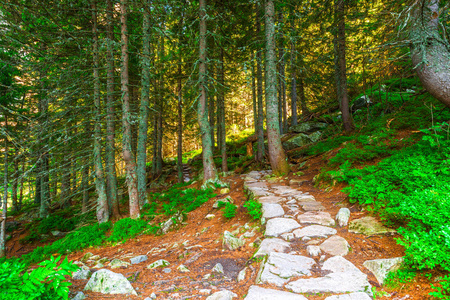 波兰 Morskie Oko 湖附近的一条石头远足小径