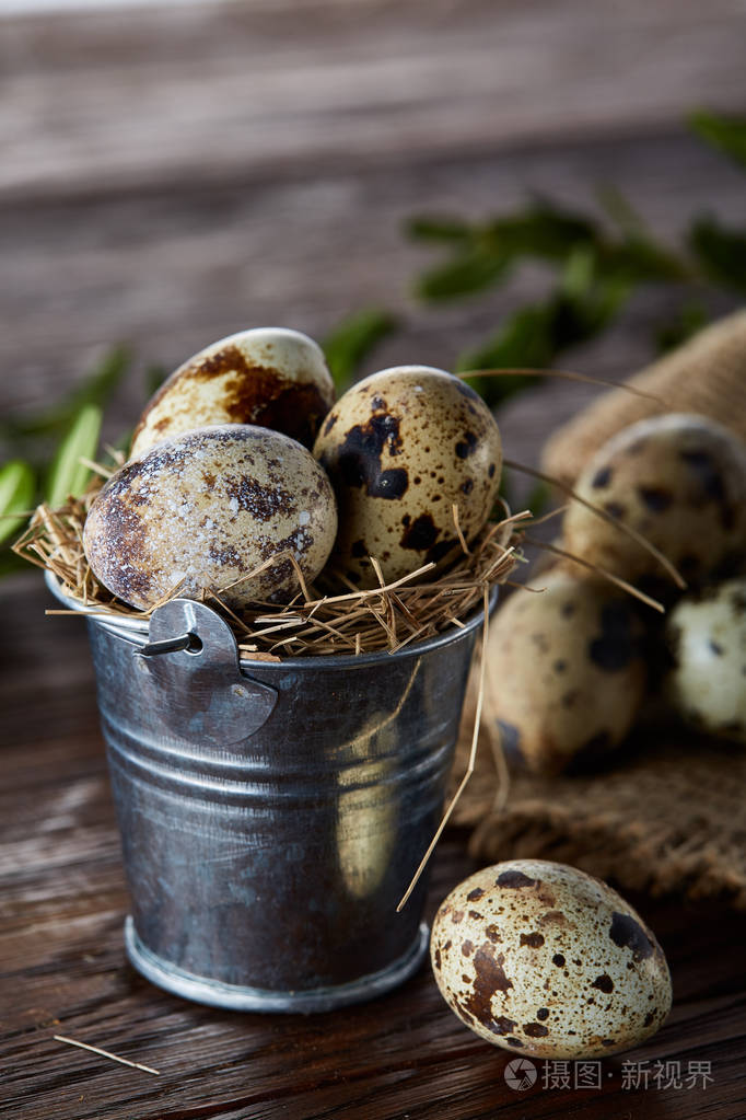 在亚麻餐巾和黄杨木树枝上的鹌鹑蛋的春季组成选择性聚焦