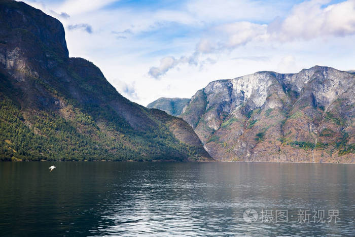 风景与 Naeroyfjord 和高山在挪威