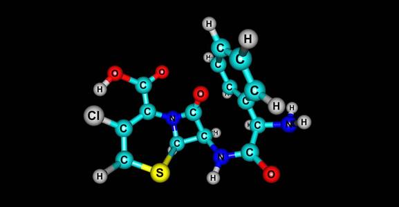 孢分子结构在黑色上的分离