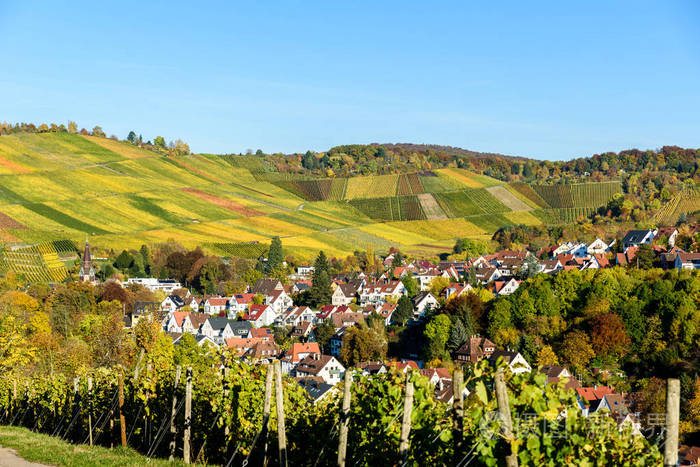 葡萄园在斯图加特, uhlbach 在 neckar 谷-美丽的风景在秋天在德国