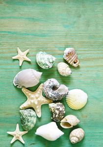 度假概念海星和贝壳上木制的背景