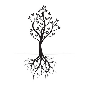 黑色的春天树与根.矢量插图.园林植物照片