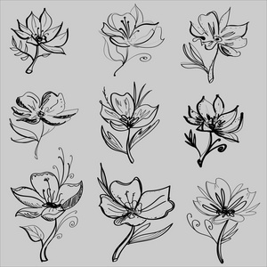 花卉自然设计.图形,素描画插画