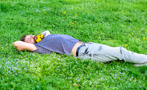 在草地上的花束胡子人与蒲公英花在胡须躺在草地上, 草的背景.