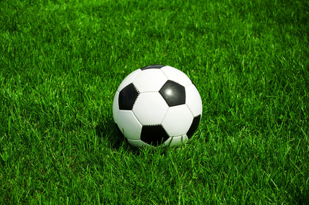 黑白蝴蝶花草图片-黑白蝴蝶花草素材-黑白蝴蝶花草插画-摄图新视界