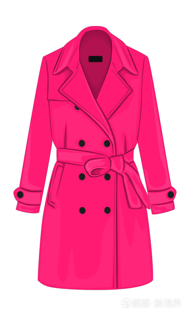 一件孤立的矢量女大衣