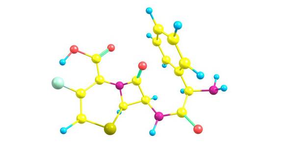 孢分子结构在白色上的分离