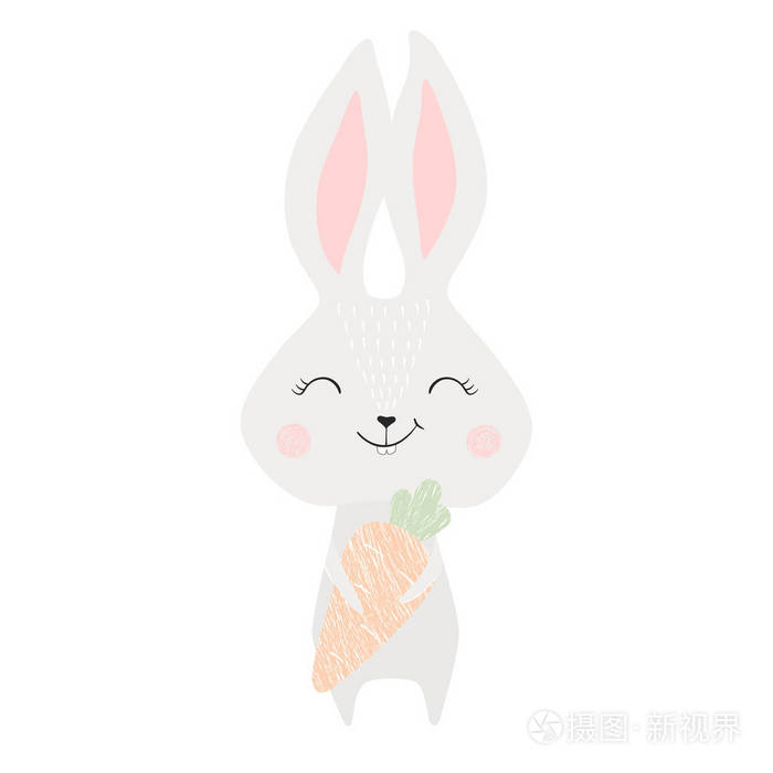 兔子的胡萝卜