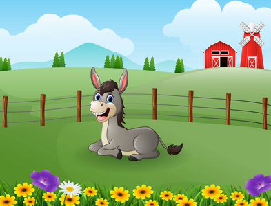 绿色田野中的快乐驴卡通插图照片
