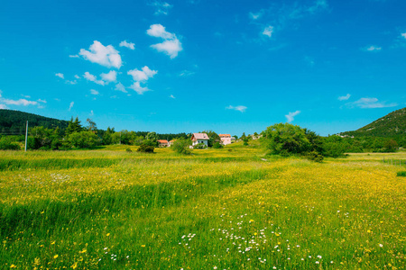 在一片草地,花黄色的房子.njegusi 在莫村照片