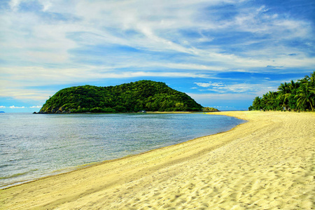 整个热带岛屿景观的沙滩。棕榈树野岛